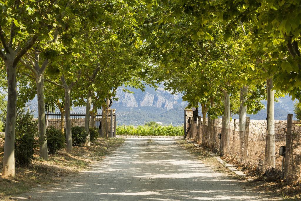 Agroturisme Sa Torre (Adults Only) Санта-Еухеніа Екстер'єр фото